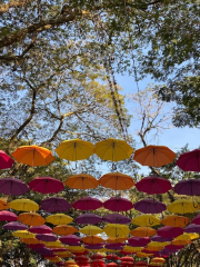 Guarda-chuvas de Holambra - SP