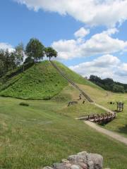 Merkinė mound