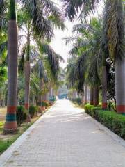 Paryawaran Park Sultanpur