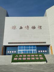 Linxixian Museum