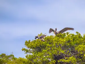 Keoladeo-Nationalpark