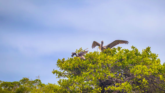 Parco nazionale di Keoladeo