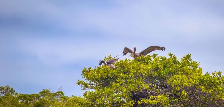 Keoladeo National Park