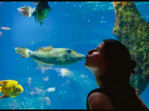 Aquarium La Rochelle