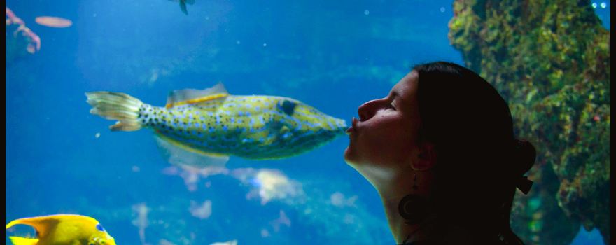 Aquarium La Rochelle