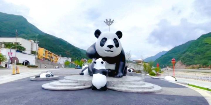 Hanzhong Foping Panda Natural Reserve