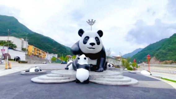 Hanzhong Foping Panda Natural Reserve