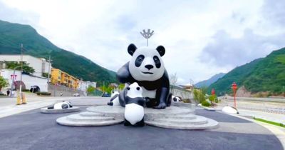 Hanzhong Foping Panda Natural Reserve