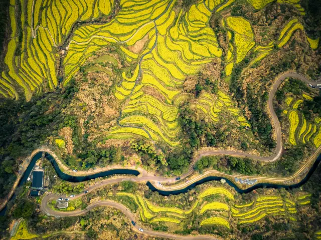 Terraced Fields Viewing in Shangrao