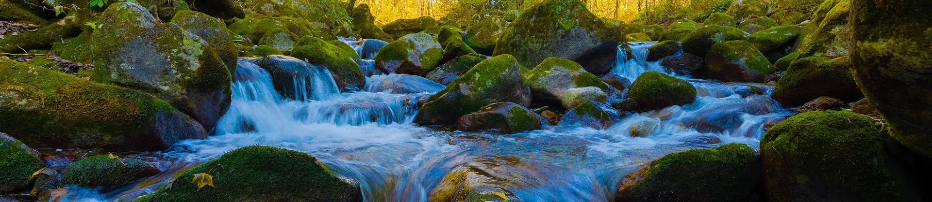 Attrazioni per la visione autunnale
