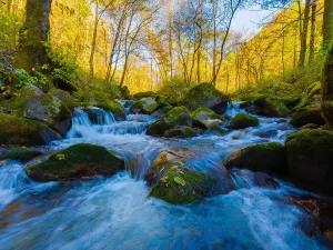 Taibaishan National Forest Park