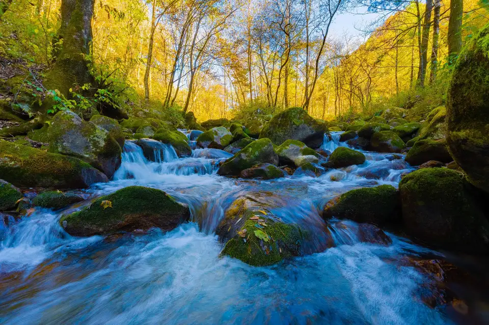 3_The Mount Taibai National Forest Park