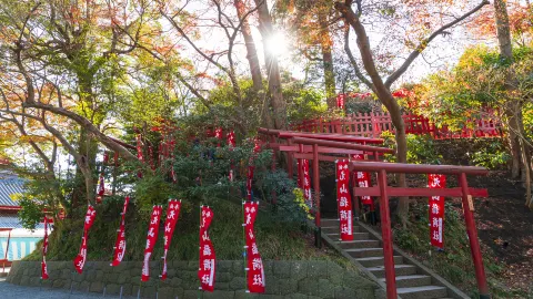Tsurugaoka Hachimangu attraction in Kamakura