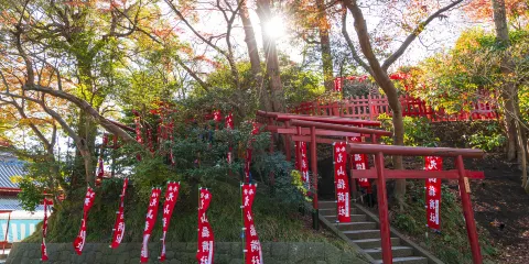 鶴岡八幡宮