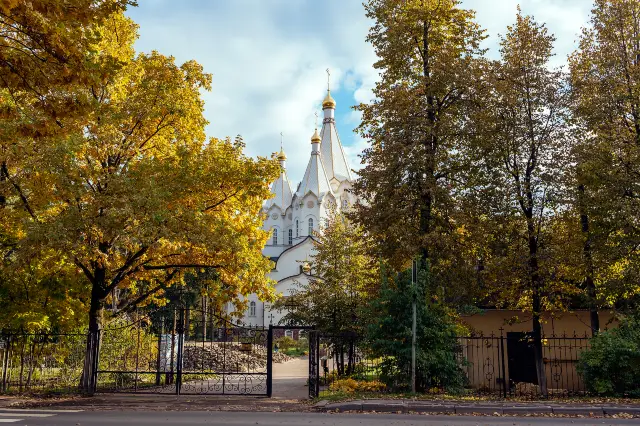 Ginkgo Viewing in Moscow
