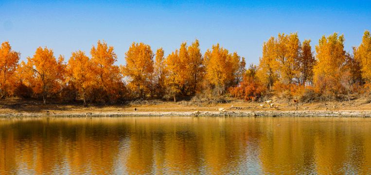 Awat Travel Guide 2026: Top Attractions, Things to Do & Deals | Trip ...