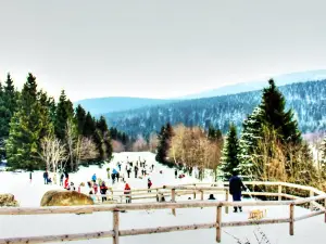 Rodellift "Brockenblick"