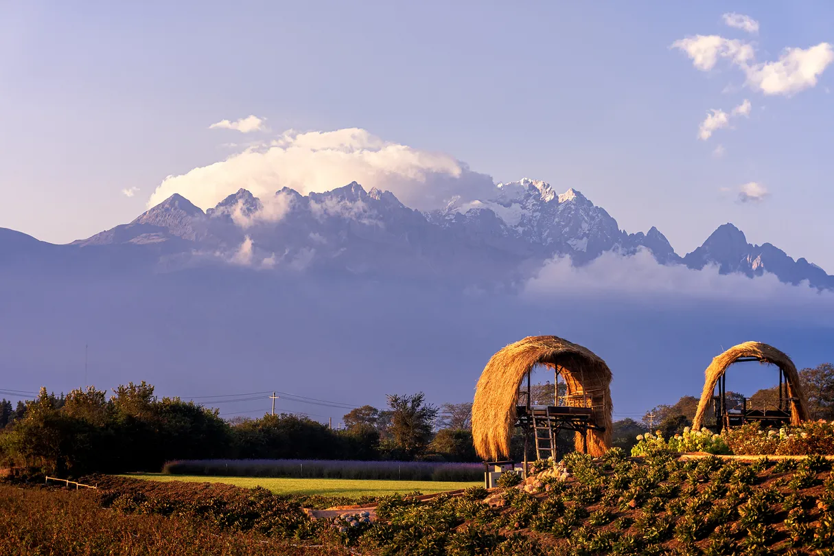 3_Tinghua Valley - Lijiang Flowers Garden