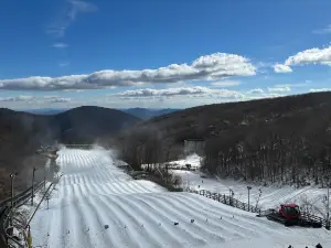 The Plunge Snow Tubing Park