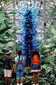 Chihuly’s Garden Cycle | Adelaide Botanic Garden
