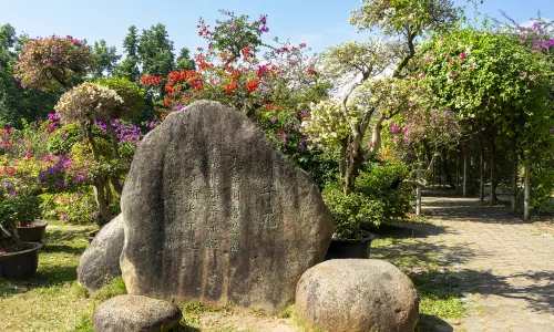 Tropical Flower Garden