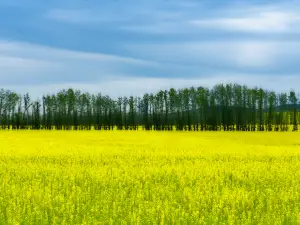 Top 9 Spring Outings in Ergun
