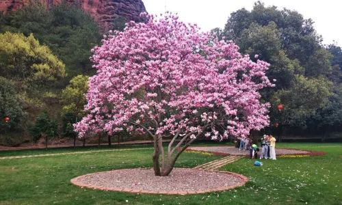 Guifeng Scenic Spots