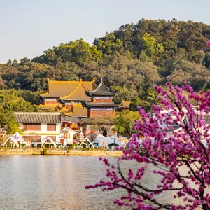 南國桃園