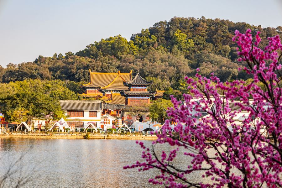 南國桃園