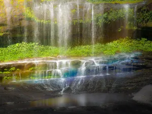 Huangjing Prehistoric Forest