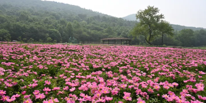 鹿門山旅遊景區