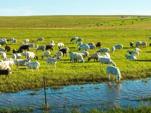 Ulagai Grassland
