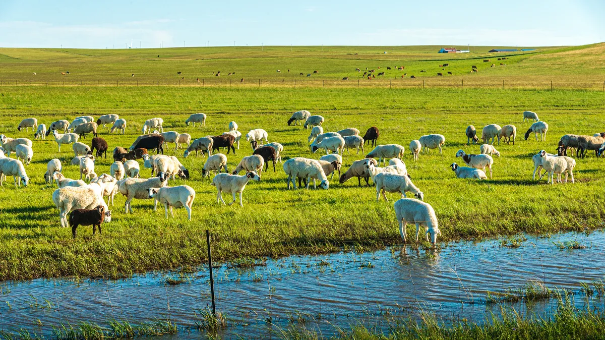 Ulagai Grassland