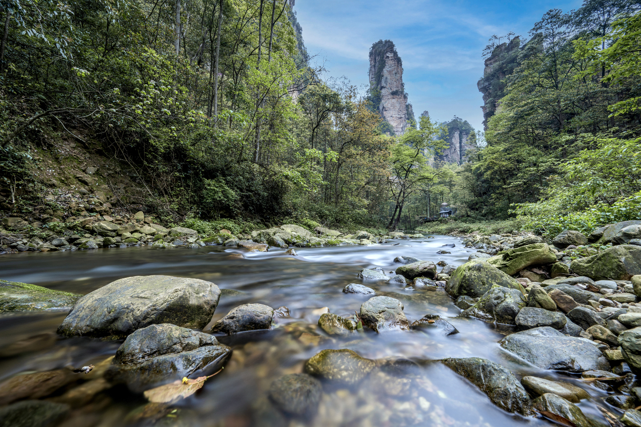 장자제의 인기 액티비티