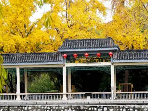 叢台公園