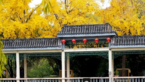 Congtai Park attraction in Handan