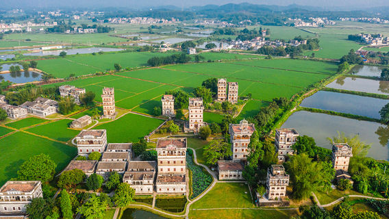 쯔리춘 디아오러우군