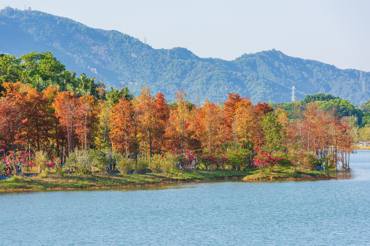 Popular Activities in Shenzhen