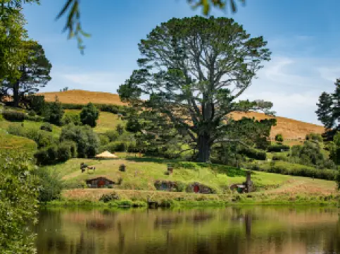 The Party Tree