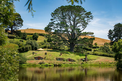 The Party Tree