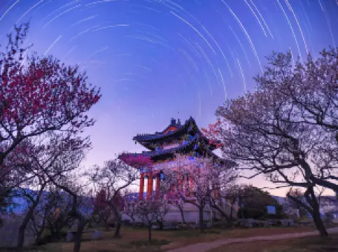 ภูเขาพลู