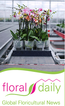 2026 Goyang International Flower Expo | Ilsan Lake Park