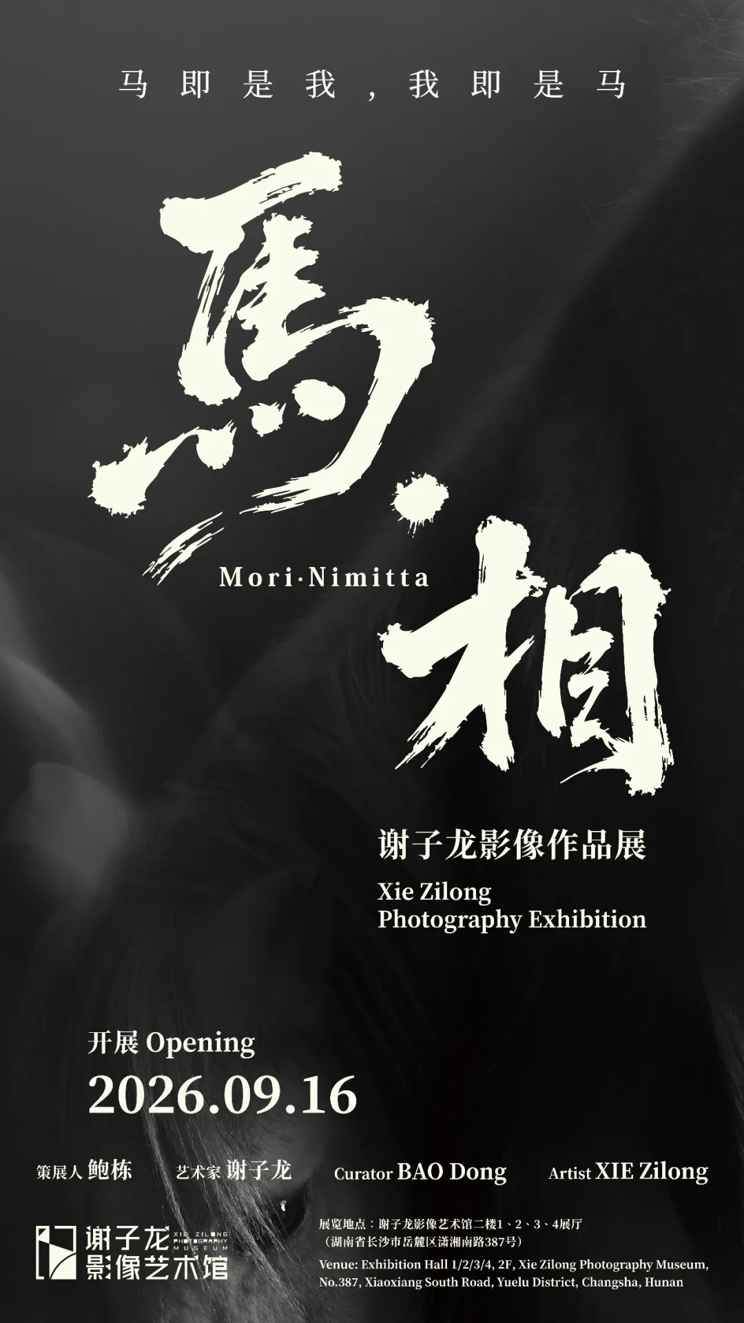Mori·Nimitta: Xie Zilong Photography Exhibition | Xie Zilong Photography Museum