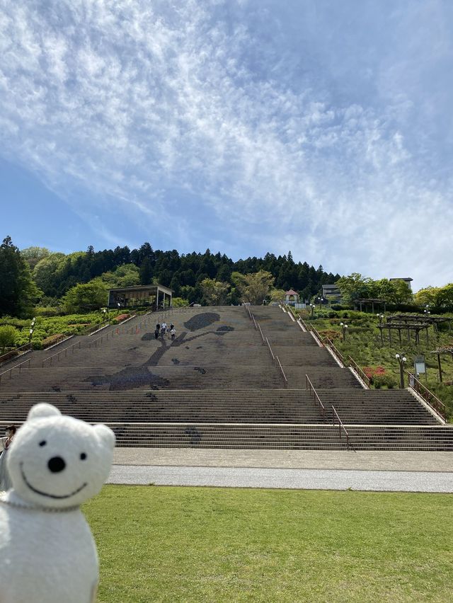 クマ散歩：宮ヶ瀬湖畔園地にクマ出没