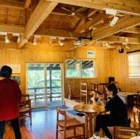 【屋久島】ジェラート そらうみ