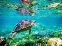 Paradise for snorkelers