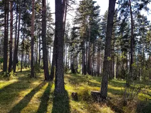 嘉陵江源頭風景区（西北門）