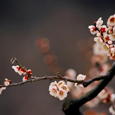 Хостел в г. Намчеджу