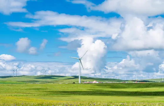 輝騰錫勒草原40分鐘騎馬票成人