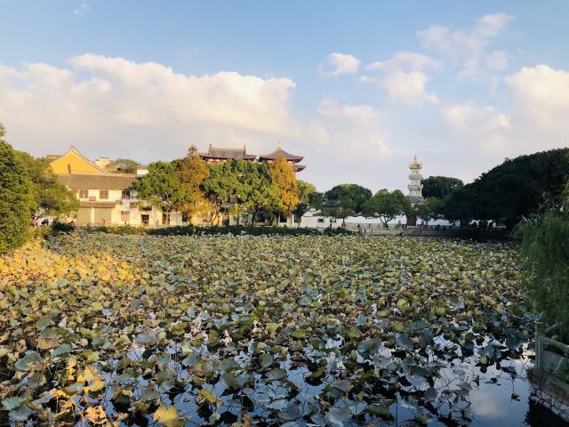 普濟禪寺